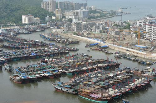 11月9日,大批漁船停泊在海南三亞港內(nèi)避風(fēng)。新華社記者 張永峰 攝