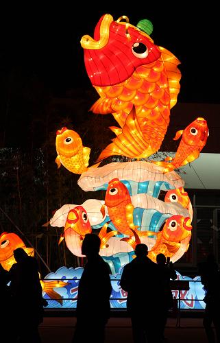 1月31日,在福建莆田的媽祖大型燈會上,參觀者欣賞鯉魚主題燈組。 新華社發(fā)(林劍冰 攝)
