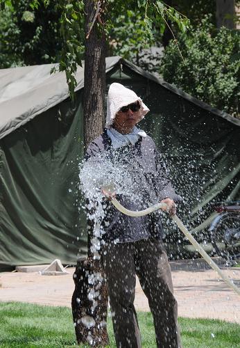 6月24日,在石家莊市區(qū)一條街道旁,工人在給草坪澆水。新華社記者 王民 攝