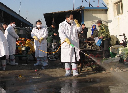 1月7日,三河市畜牧、防疫部門工作人員正在燕郊行宮市場活禽交易區(qū)消毒。新華社記者曹國廠攝
