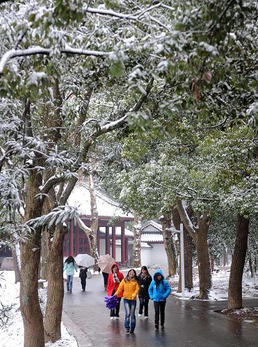 12月15日,游人在公園觀賞雪景。當(dāng)日,武漢市降下今年入冬的第一場(chǎng)雪。新華社記者 程敏 攝
