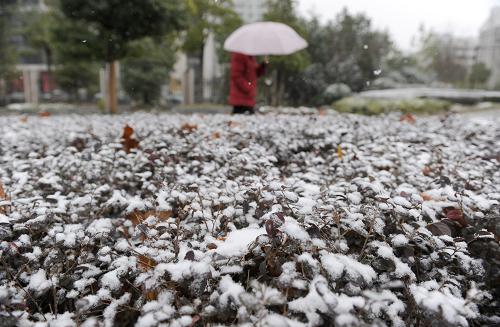 12月15日,一位行人從積雪的綠化帶旁走過(guò)。新華社記者郭晨攝