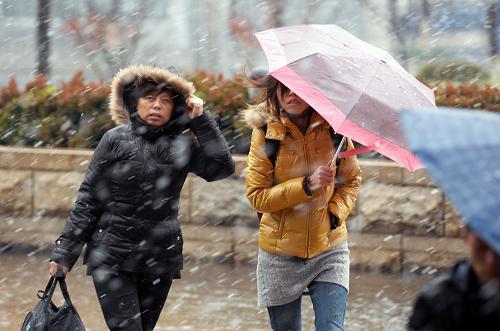 12月15日,在浙江衢州街頭,市民冒雪趕路。當(dāng)日,受強(qiáng)冷空氣影響,浙江迎來(lái)今冬首場(chǎng)降雪。浙江省氣象臺(tái)上午9時(shí)45分發(fā)布暴雪黃色預(yù)警信號(hào)。預(yù)計(jì)未來(lái)12小時(shí)湖州、嘉興、杭州、衢州、金華、紹興、寧波東部地區(qū)將出現(xiàn)中到大雪,局部暴雪,積雪深度可達(dá)4-6厘米,局部10厘米以上。新華社記者 鞠煥宗 攝