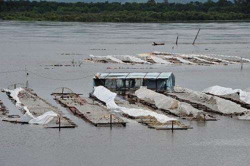 8月5日,在黑龍江呼瑪段岸邊,當?shù)剞r(nóng)民的袋栽木耳種植區(qū)淹沒在江水中。 連日來,受黑龍江上游及呼瑪河流域持續(xù)降雨影響,黑龍江省大興安嶺地區(qū)呼瑪縣遭遇洪澇災害。呼瑪河沿岸部分農(nóng)田被淹,黑龍江209省道呼瑪河浮橋交通再次中斷。目前,該縣城鄉(xiāng)干部群眾積極投入到抗洪搶險、排澇減災中。 新華社發(fā)(周長平 攝)