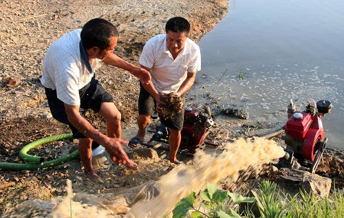7月20日,湖南邵陽黃荊鄉(xiāng)白馬村大石殼組村民在抽水抗旱。新華社發(fā)(李愛民 攝)