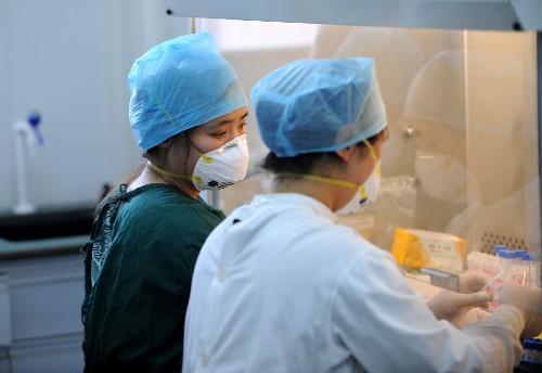 兩位來自中國疾病預(yù)防控制中心的專家在阜陽市疾控中心病毒實驗室進行病毒分離實驗(5月6日攝)。新華社記者 陳曄華 攝