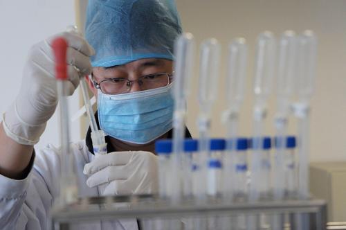 在山東省聊城市人民醫(yī)院中心實驗室,研究人員在研究染色體異常核型(3月17日攝)。新華社發(fā)(張憲舉 攝)