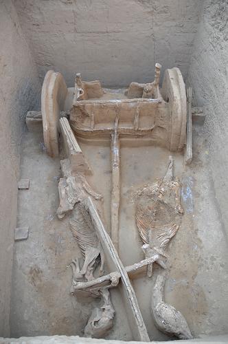甘肅甘谷出土距今2000多年的秦人戰(zhàn)車 在甘肅省甘谷縣毛家坪遺址新發(fā)掘的車馬坑內,考古發(fā)掘領隊、西北大學文化遺產學院教授梁云在介紹戰(zhàn)車構造(11月28日攝)。 近期,甘肅省甘谷縣新出土的一輛秦人戰(zhàn)車再現了2000多年前秦人出征時的威武雄姿。據甘谷縣毛家坪遺址考古發(fā)掘領隊、西北大學文化遺產學院教授梁云介紹,這輛戰(zhàn)車的車廂、車輪、車轅、車軛等構件保存比較完整,駕車的兩匹駿馬的骨架也清晰可見,兩馬中間還擺放著一桿長約3米的長矛。據推斷,這一戰(zhàn)車的時間約為春秋早期,距今約2700年至2600年,為研究秦早期的作戰(zhàn)車馬及歷史文化提供了寶貴的實物資料。 新華社記者王艷明攝