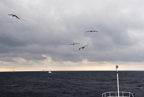 這是中國(guó)海監(jiān)137船在釣魚島毗連區(qū)海域巡航景象(2月14日攝)。新華社記者 張建松 攝