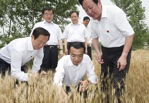 這是6月7日,李克強(qiáng)在邯鄲縣裴堡東村查看小麥?zhǔn)粘?。新華社記者 黃敬文 攝