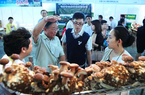 6月20日,一位科研人員在介紹人工菌種培育方法。當日,第七屆中國生物產(chǎn)業(yè)大會在昆明舉行,大會以“生物資源、產(chǎn)業(yè)機遇”為主題,聚焦生物資源開發(fā),探討生物產(chǎn)業(yè)發(fā)展。2012年底,生物資源大省云南生物產(chǎn)業(yè)總產(chǎn)值達到5142億元,生物產(chǎn)業(yè)直接出口額21.03億美元。新華社記者 秦晴 攝