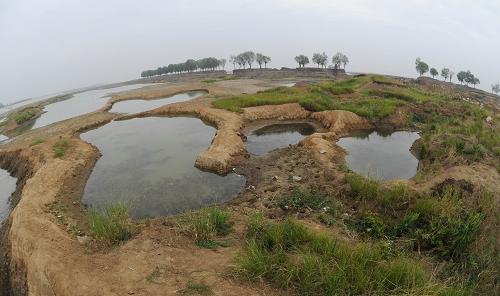 6月2日拍攝的東洞庭湖國家級自然保護區(qū)濕地,因水域萎縮濕地出現(xiàn)許多洼地和裸露的草地。新華社記者 李尕 攝