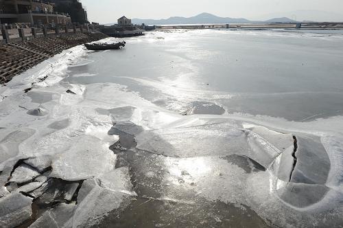 12月29日在青島市即墨鰲山灣拍攝的初生冰冰情。新華社記者 李紫恒 攝