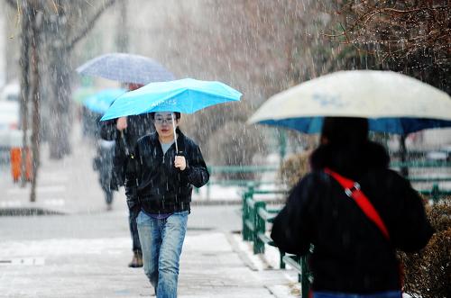 4月12日,市民打傘在雪中行走。新華社記者 王建威 攝
