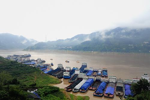 7月24日,大批船舶??吭谌龒{大壩上游湖北省秭歸縣沙灣錨地有序待閘。新華社發(fā)(王家滿 攝)