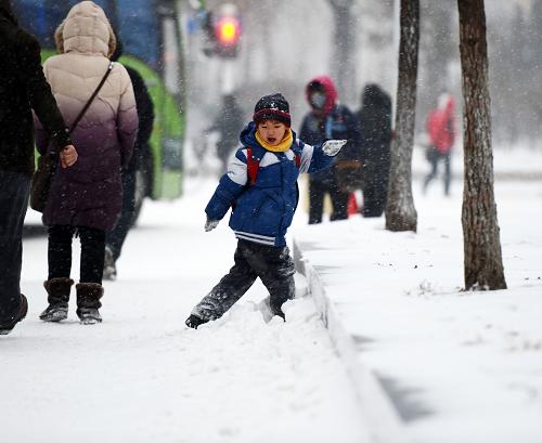 黑龍江省部分地區(qū)迎來降雪 11月28日,哈爾濱的一名小學(xué)生在上學(xué)路上玩雪。 自11月27日夜開始,黑龍江省部分地區(qū)迎來降雪天氣。根據(jù)黑龍江省氣象臺預(yù)計,哈爾濱、綏化、伊春南部降雪量將達(dá)4毫米以上。大雪讓孩童們盡情地享受白雪帶來的樂趣,卻也給城市交通帶來不便。 新華社記者王凱攝