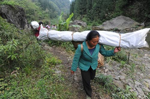 “螞蟻搬家”救災物資進孤島 4月22日,石鳳村村民在搬運救災援助物資。 地震發(fā)生以來,蘆山縣雙石鎮(zhèn)石鳳村唯一的進村道路因巨石墜落、路基塌方造成完全阻斷。這里與外界隔絕,嚴重缺少帳篷和各種食物。由于進村道路狹窄,大型工程車輛無法進入作業(yè),道路搶通救援隊多次突破都未能打通。 全村及附近村組2000多名村民藥品、食品告急。村民不等不靠,上至65歲的老人,下至7歲的孩子,迅速組織起了一支300多人的搬運隊伍,專門擔負各種救災物資的人力輸送。 據(jù)村民張彬芳介紹,出發(fā)前村民們約法三章,搬運的物資除必須留出分留給前來支援救災的解放軍和武警戰(zhàn)士外,剩下的統(tǒng)一運送、統(tǒng)一分發(fā)、照顧老弱病殘和傷員。 從道路斷口到村口5公里的路程,有很大部分是在密林山地中新開辟的道路,300多村民用“螞蟻搬家”的方式,完全靠人力將40多噸救災物資運進孤島,讓全村渡過了物資匱乏的難關(guān),且未出現(xiàn)強占為私和無序哄搶的情況。 新華社記者 李紫恒 攝