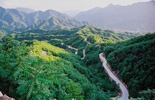 河南:森林覆蓋面積超五分之一 地處豫南伏牛山區(qū)的西峽縣,當?shù)厣指采w率達到81%(2012年7月13日攝)。 近年來,河南省大力推進退耕還林、天然林保護等林業(yè)生態(tài)建設工程,生態(tài)環(huán)境持續(xù)改善。2012年全省森林面積達383.77萬公頃,濕地總面積110萬公頃,分別占全省國土面積的22.98%和6.6%。 新華社記者王頌攝
