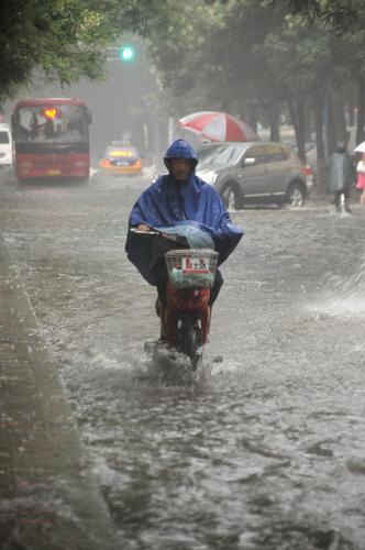 7月29日,在石家莊街頭,一位市民在暴雨中騎行。新華社記者 鞏志宏 攝
