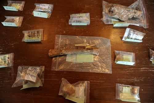 這是從北京周口店遺址第1地點清理發(fā)掘出的部分標(biāo)本(8月8日攝)。據(jù)介紹,周口店遺址第1地點搶救性清理發(fā)掘工作已取得階段性重要成果。從5月17日開始的本年度工作主要對周口店第1地點西剖面第四層的堆積物進(jìn)行保護(hù)性清理發(fā)掘,目前年度清理發(fā)掘任務(wù)已經(jīng)完成過半,出土石制品近400件,可鑒定的大中型動物骨骼標(biāo)本700余件,以及大量嚙齒類、鳥類動物化石,并發(fā)現(xiàn)灰燼、火塘等可能為古人類有控制用火及洞穴生活的遺物、遺跡。周口店第1地點(即北京猿人遺址)西剖面是周口店遺址的“心臟”,是遺址最具科學(xué)價值的標(biāo)志性堆積體,保存了遺址最完整的地層序列和豐富的科學(xué)信息。新華社記者 羅曉光 攝