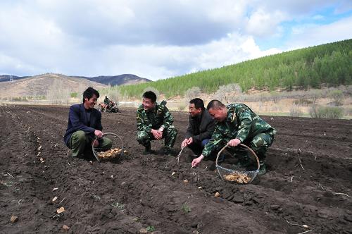 5月16日,內(nèi)蒙古興安盟公安邊防支隊(duì)西口邊防派出所民警與當(dāng)?shù)卮甯刹吭谔镩g了解農(nóng)民播種情況。新華社記者 鄒儉樸 攝