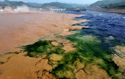 黃河小浪底水庫(kù)出水口排出的含有大量泥沙的黃水,與發(fā)電洞排出的清水在河道中混合,出現(xiàn)多種色彩(2010年6月19日攝)。新華社記者 王頌 攝