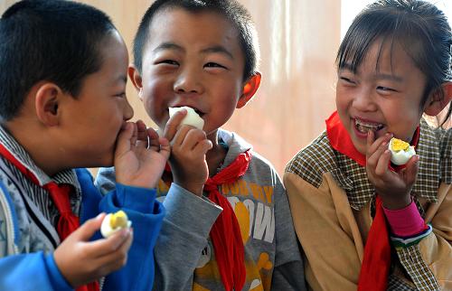 陜西省吳堡縣寇家塬鎮(zhèn)政協(xié)希望小學學生在吃雞蛋(8月23日攝)。為改善農村孩子營養(yǎng)狀況,陜西省從2009年開始在義務教育階段農村中小學實施“蛋奶工程”,為義務教育階段農村寄宿學生、家庭貧困學生每天提供一個雞蛋和一袋牛奶。截至2011年底,陜西省、市、縣三級財政累計投入“蛋奶工程”資金13億元,全省“蛋奶工程”實施學校為8496所,受益學生220.7萬名,實現(xiàn)義務教育階段農村寄宿學生全覆蓋。據(jù)悉,2012年陜西省將“蛋奶工程”與國家“營養(yǎng)計劃”并軌,全省43個國家“營養(yǎng)計劃”試點縣以外的其余64個縣(市、區(qū))進一步實施“蛋奶工程”,作為國家“營養(yǎng)計劃”的組成部分,并把“蛋奶工程”的補助標準,由原來的每生每天2元提高到每生每天3元,使更多農村孩子受惠。新華社記者 劉軍喜 攝
