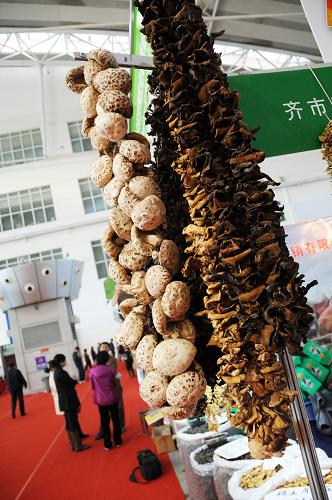 這是博覽會上展出的黑龍江產(chǎn)特色菌類農(nóng)作物(10月12日攝)。新華社記者 王凱 攝