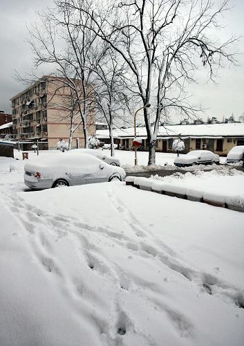 南京一小區(qū)被厚厚的積雪覆蓋(2月19日攝)。新華社發(fā)(劉建華 攝)
