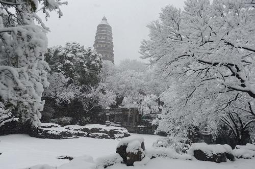 這是2月19日在蘇州虎丘山景區(qū)拍攝的雪景。 新華社發(fā)(杭興微 攝)