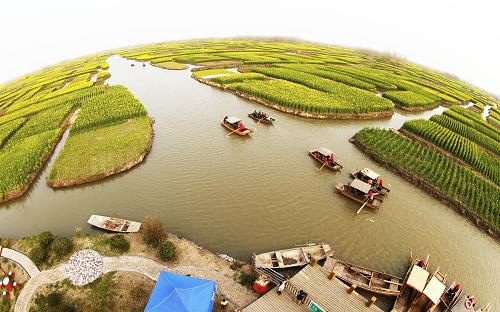4月3日,游人乘船在江蘇興化市缸顧?quán)l(xiāng)千島菜花風(fēng)景區(qū)欣賞盛開的油菜花。當(dāng)日,為期一個(gè)月的江蘇興化千島菜花節(jié)正式迎客。千島菜花風(fēng)景區(qū)的油菜花以垛田的形式依水呈現(xiàn),宛若千島,獨(dú)具特色,吸引海內(nèi)外游客前來一睹美景。新華社發(fā)(周海軍 攝)