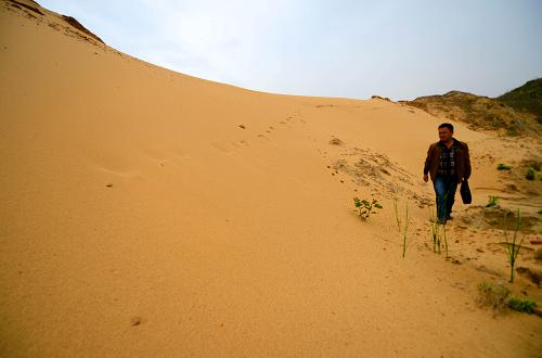 這是長江與鄱陽湖交匯處、江西與安徽交界的彭澤縣定山鎮(zhèn)東光村的沙化土地(4月10日攝)。新華社記者 周科 攝