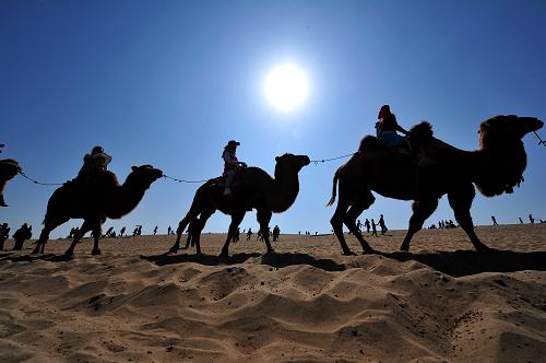 在寧夏回族自治區(qū)沙湖景區(qū),游客在乘坐駱駝穿越沙漠(2013年10月3日攝)。1月20日,國家統(tǒng)計(jì)局公布2013年全年國內(nèi)生產(chǎn)總值為568845億元,按可比價(jià)格計(jì)算,比上年增長7.7%。新華社記者 彭昭之 攝