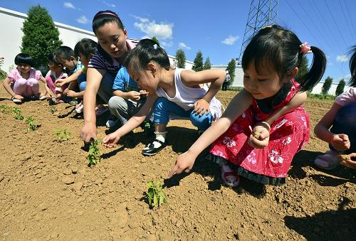 5月29日,藍(lán)天宇鋒蔡家洼幼兒園的孩子們在園內(nèi)的菜畦體驗田園樂趣。新華社發(fā)(呂吉 攝)