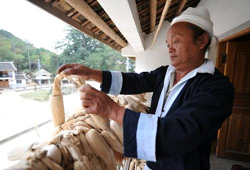 王尚瑤寨展新顏 11月10日,王尚白褲瑤寨一位居民在陽臺整理收獲的玉米。 白褲瑤是瑤族的一個支系,因為男子都穿著及膝的白褲,所以人們稱之為“白褲瑤”。廣西南丹縣里湖瑤族鄉(xiāng)里湖社區(qū)王尚白褲瑤寨共有96戶382人。 2010年,王尚瑤寨被列為南丹縣村級風(fēng)貌改造試點項目,整個項目共重建民居72戶,立面改造14戶。同時完善了路網(wǎng)、排水系統(tǒng)、供電照明系統(tǒng),還興建了文化廣場、籃球場、文化室等22個公共設(shè)施。 經(jīng)過幾年的發(fā)展建設(shè),王尚瑤寨成為一個集旅游觀光、民俗風(fēng)情表演、農(nóng)家樂、休閑養(yǎng)生為一體的旅游景點。(新華社記者 劉廣銘攝)