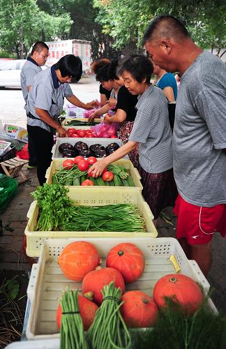 7月8日,市民在天津市河東區(qū)一蔬菜直銷點選購新鮮蔬菜。新華社記者 張超群 攝