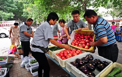 7月8日,蔬菜直銷點服務人員將銷售一空的蔬菜及時補齊。近日,天津市社區(qū)服務中心與天津市西青區(qū)第六埠村津港農(nóng)民合作社合作,在天津市區(qū)內(nèi)人員較多的5個小區(qū)試點建立蔬菜直銷點,方便百姓購買新鮮、優(yōu)質、低價蔬菜。目前,已開設的5個直銷點日均銷售蔬菜2000斤,覆蓋社區(qū)居民20余萬人。據(jù)介紹,天津市西青區(qū)第六埠村津港農(nóng)民合作社有社員100余戶,可供應蔬菜、水果30余種。合作社在社區(qū)設立蔬菜直銷點,以每斤低于市場價2至3角的價格銷售給社區(qū)居民,既方便居民購菜,又保障了菜農(nóng)具有穩(wěn)定的收入。該項合作預計在2014年內(nèi)將直銷網(wǎng)點拓展至100個。新華社記者 張超群 攝