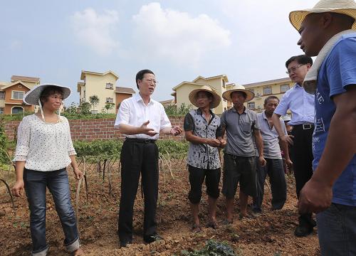 這是7月6日,張高麗在雙流縣南天寺村考察。新華社記者 丁林 攝