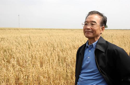 這是8月27日,溫家寶在康保縣丹清河鄉(xiāng)察看萬畝旱作莜麥田,了解莜麥產(chǎn)量、價格情況。新華社記者 姚大偉 攝