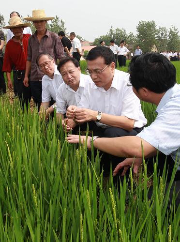 9月6日,全國(guó)血吸蟲(chóng)病防治工作會(huì)議在湖北省武漢市召開(kāi)。中共中央政治局常委、國(guó)務(wù)院副總理李克強(qiáng)出席會(huì)議并講話。 這是在武漢市黃陂區(qū)六指街陸咀村稻田中,李克強(qiáng)仔細(xì)察看稻田預(yù)防釘螺滋生改造及水稻生長(zhǎng)情況。 新華社記者 龐興雷 攝