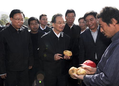 10月17日,溫總理來到鳳翔鎮(zhèn)南川萬畝馬鈴薯基地,查看生產(chǎn)和收獲情況。莊稼地里,人們正忙著挖土豆。溫家寶走進(jìn)地里,從村民郭濤手里接過鐵鍬,一鍬下去翻出來5個土豆,拿起親手收獲的土豆,溫總理詳細(xì)詢問郭濤,他種了多少畝土豆?畝產(chǎn)多少斤?一畝收入多少? 新華社記者 李學(xué)仁 攝
