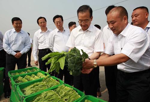 這是6月10日,溫家寶在許昌縣將官池鎮(zhèn)天和萬(wàn)畝有機(jī)蔬菜示范基地了解蔬菜生產(chǎn)與價(jià)格情況。 新華社記者龐興雷攝