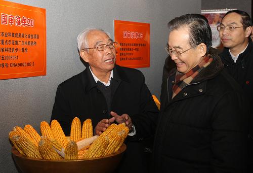 這是1月22日,溫家寶來到鶴壁市農(nóng)業(yè)科學(xué)院考察,聽取玉米育種專家程相文介紹他們培育的“浚單20”玉米新品種。新華社記者 姚大偉 攝