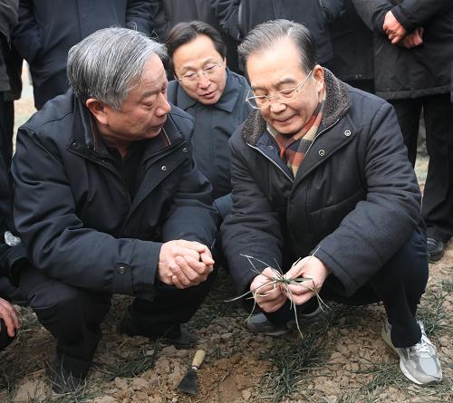 1月21日至22日,中共中央政治局常委、國務(wù)院總理溫家寶在河南省就當(dāng)前旱情和抗旱工作進(jìn)行調(diào)研。這是1月22日,溫家寶走進(jìn)鶴壁市淇濱區(qū)鉅橋萬畝糧食高產(chǎn)核心示范區(qū),向農(nóng)業(yè)科技專家了解情況,實(shí)地察看旱情。新華社記者 姚大偉 攝
