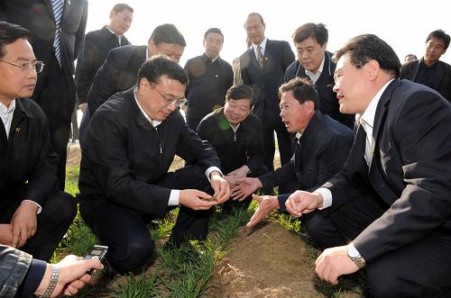 11月2日至4日,中共中央政治局常委、國務(wù)院副總理李克強(qiáng)在山東考察。這是11月3日,李克強(qiáng)在濰坊昌邑市飲馬鎮(zhèn)楊莊村麥田考察。新華社記者 饒愛民 攝