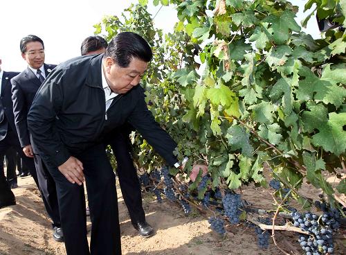 9月20日至21日,中共中央政治局常委、全國(guó)政協(xié)主席賈慶林在寧夏調(diào)研。這是9月21日,賈慶林來(lái)到寧夏玉泉營(yíng)葡萄示范基地,仔細(xì)詢問(wèn)基地生產(chǎn)經(jīng)營(yíng)、品牌管理、市場(chǎng)開(kāi)拓等方面情況。新華社記者劉衛(wèi)兵攝