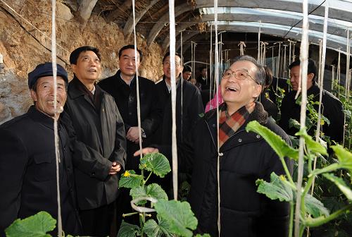 這是溫家寶在偏橋村查看蔬菜大棚。新華社記者 黃敬文 攝