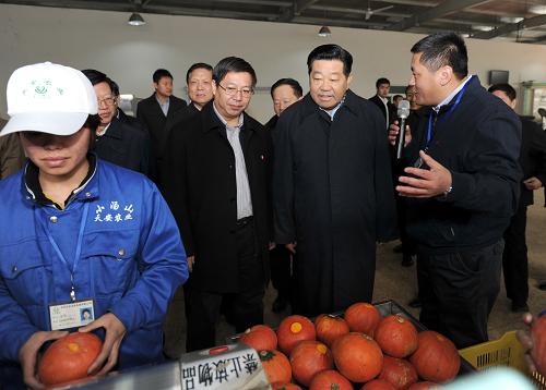 這是2月16日,賈慶林在昌平小湯山特菜基地實(shí)地察看現(xiàn)代農(nóng)業(yè)發(fā)展情況。新華社記者 馬占成 攝