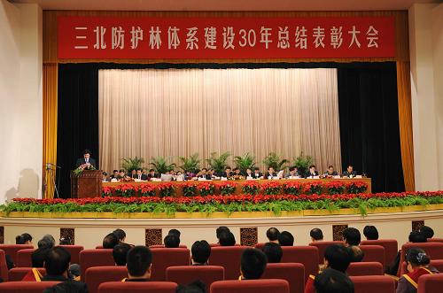 11月19日,三北防護(hù)林體系建設(shè)30年總結(jié)表彰大會在北京舉行。新華社記者饒愛民攝