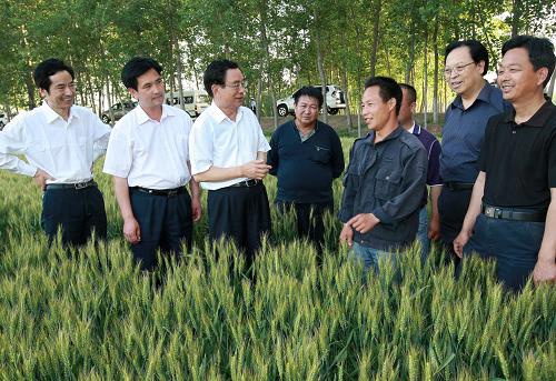 5月15日至19日,中共中央政治局常委、中央紀委書記賀國強先后來到河南省洛陽、信陽、鄭州等地,深入田間地頭、企業(yè)車間、居民社區(qū)、機關學校,親切看望基層干部群眾,實地了解經(jīng)濟社會發(fā)展和黨風廉正建設情況。這是5月18日,賀國強在鄭州市中牟縣王莊村田埂上察看小麥長勢。新華社記者 龐興雷 攝